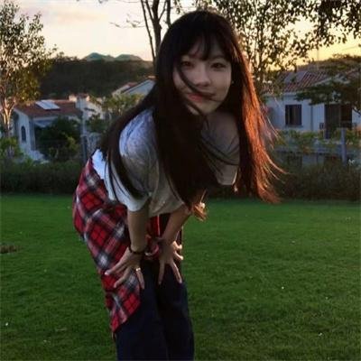 一切都鸟了